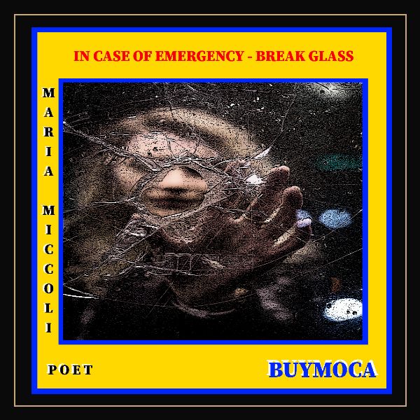 lot4AlbumInCaseOfEmergencyBreakGlass